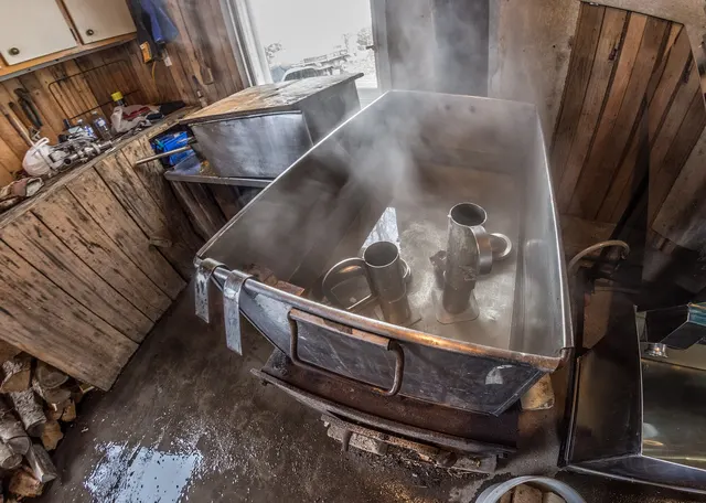 Steaming evaporator inside a sugar shack in Quebec