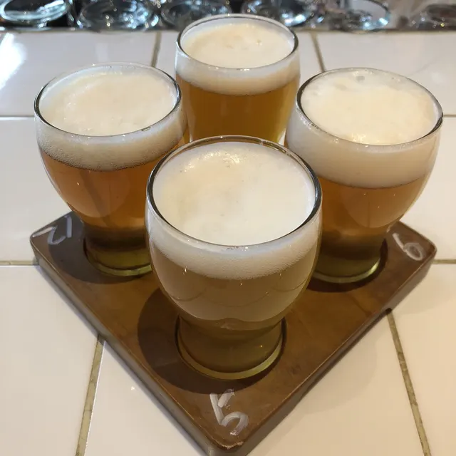 Tasting flight of four craft beers