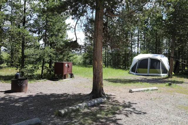 Emplacement de camping avec tente, foyer et coffre à nourriture parmi les pins