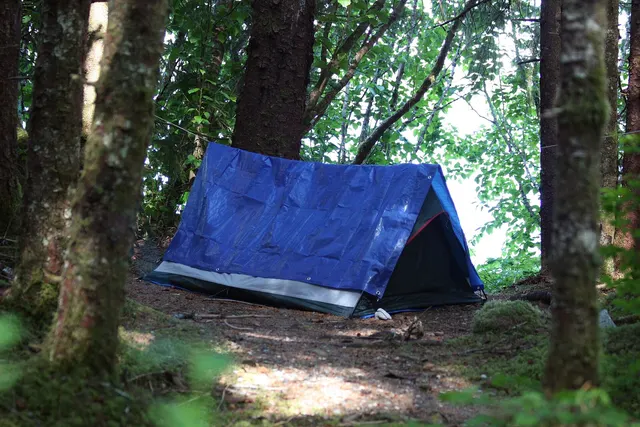 Petite tente sous une bâche bleue dans une clairière en forêt