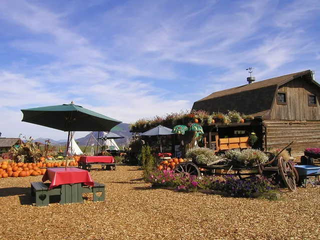 Farm stand with autumn fruit and vegetables in British Columbia