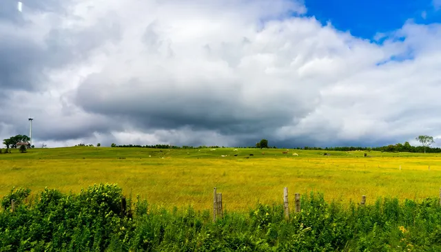 Farm and field along a country road in Quebec