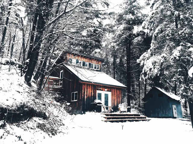 Small wooden cabin under snow in a conifer forest