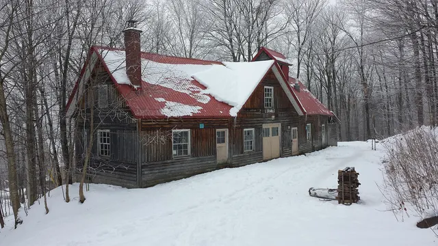 Log sugar shack in a snowy maple forest at Duchesnay, Quebec