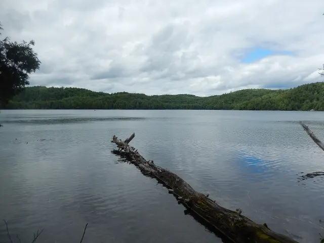 Fallen tree trunk in Lac de la Ferme under a cloudy sky in Duhamel