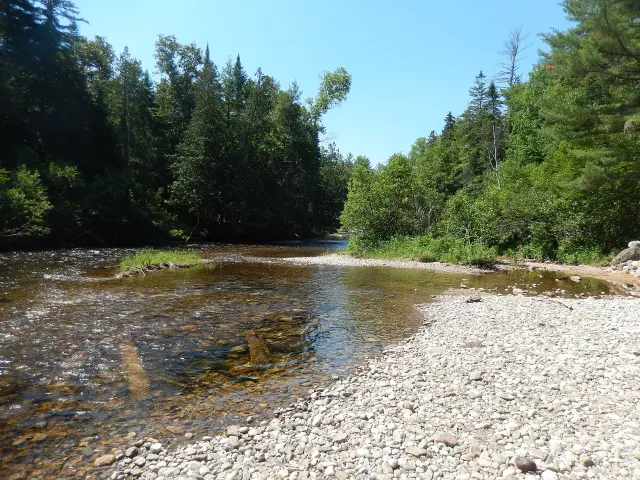 The Petite Nation River in Duhamel, clear water over pebbles between conifers