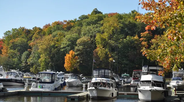 Pleasure boats at the Montebello marina in front of trees in fall colours
