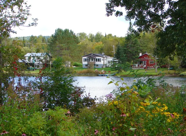 Houses on the shore of Lac Roquet seen through wildflowers