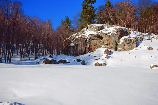 Rocks and forest under snow on a sunny day at Parc Oméga
