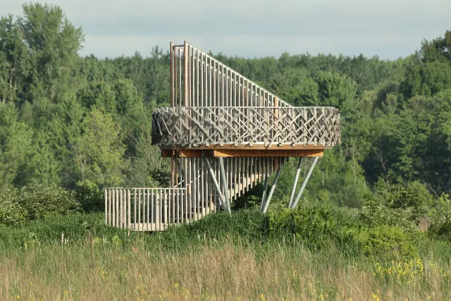 Wooden observation tower at the Perra marsh, Parc national de Plaisance