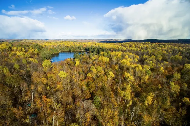 Aerial view of yellow and orange autumn forest around Lac du Chevreuil