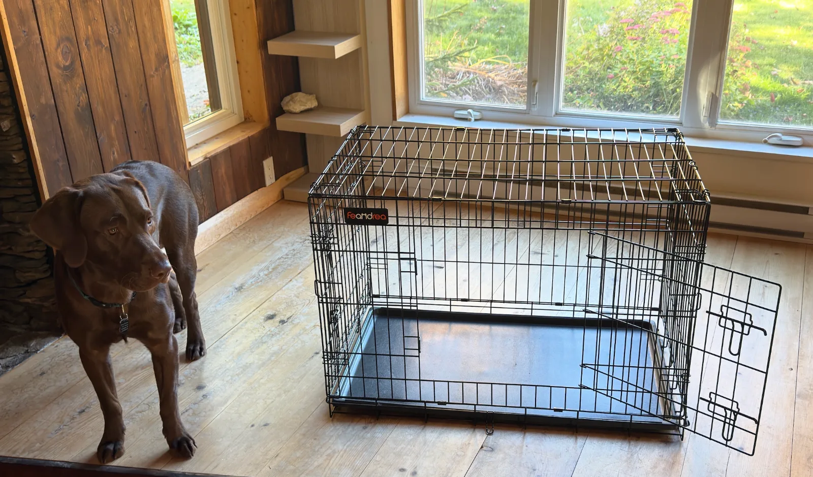 Cage pliable pour chien 36 po Feandrea, 2 portes, avec séparateur